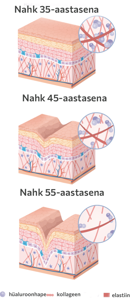 Intensiivseerum küpsemale nahale